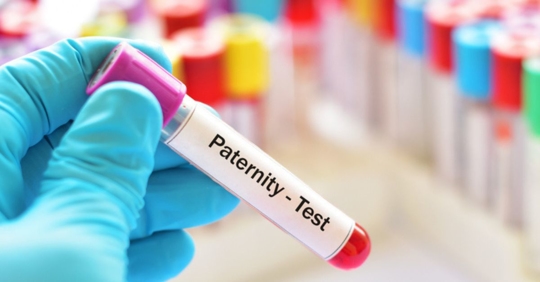 paternity test